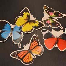 Image of butterflies made of coloured paper