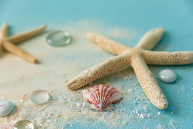 A serene beach-themed still life featuring starfish, seashells, and soft sand.